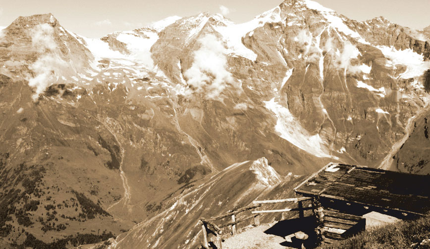 wheat beer export nation